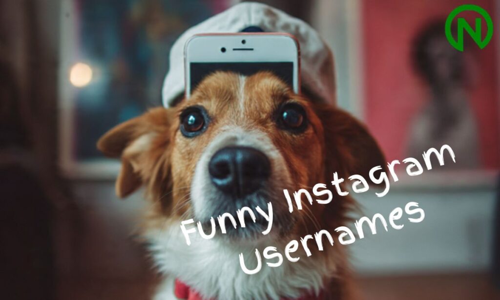 18 Funny Instagram Usernames
