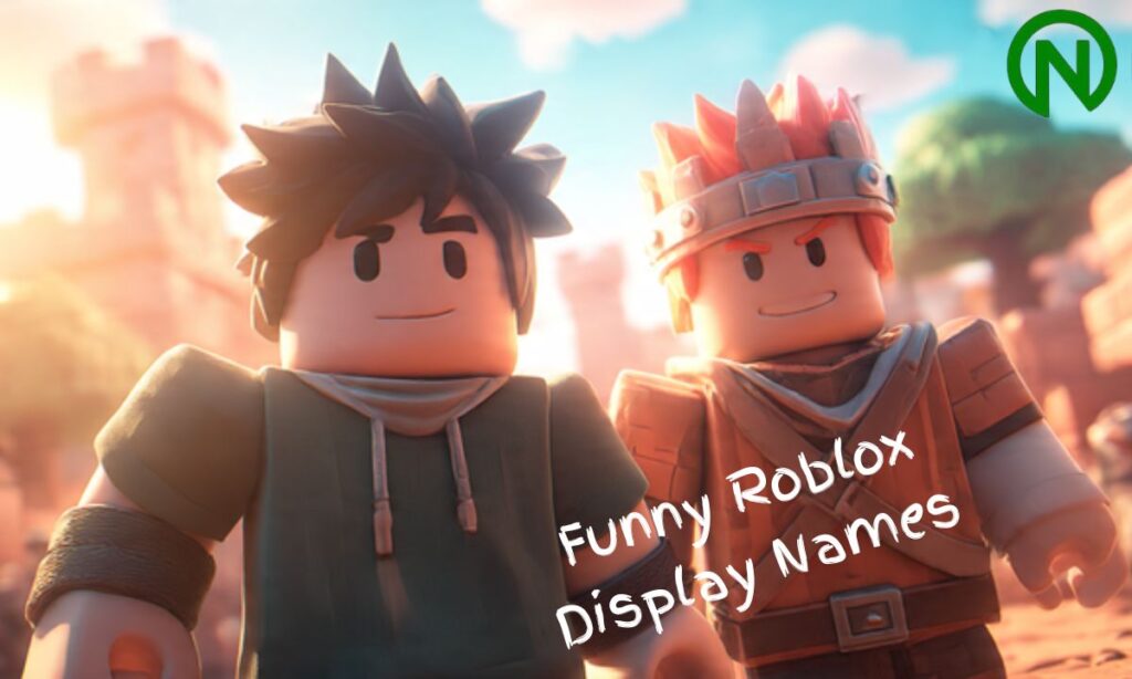Funny Roblox Display Names