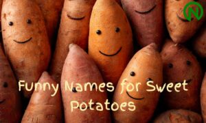 Funny Names for Sweet Potatoes