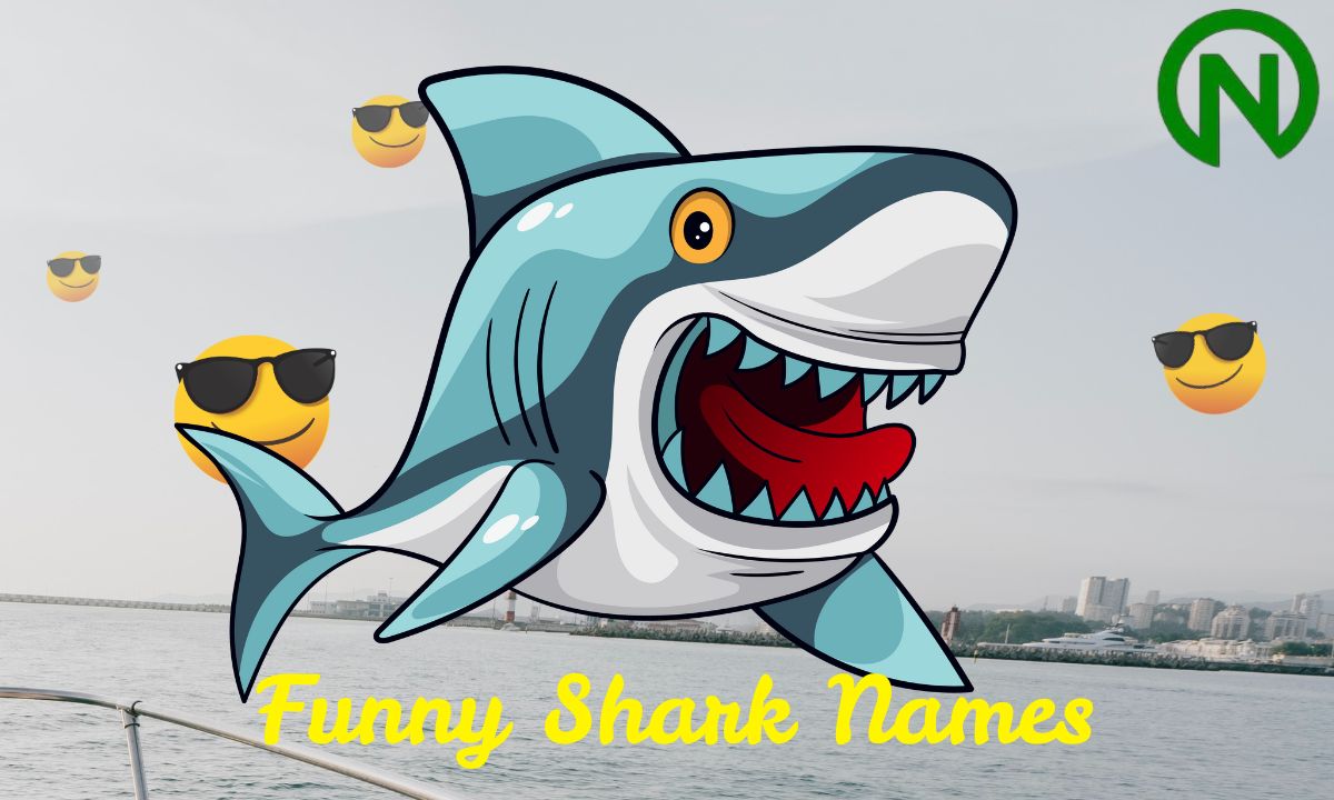 300+ Funny Shark Names_ (Inspired by Reddit) (1)