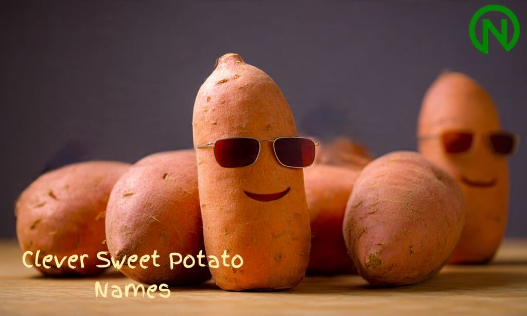 Clever Sweet Potato Names