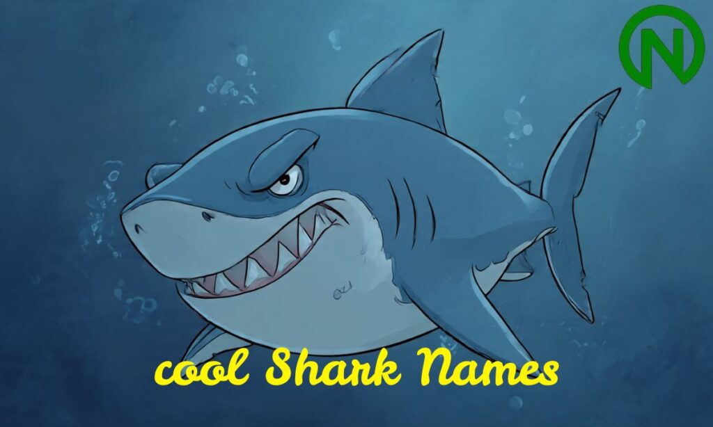 Cool Shark Names