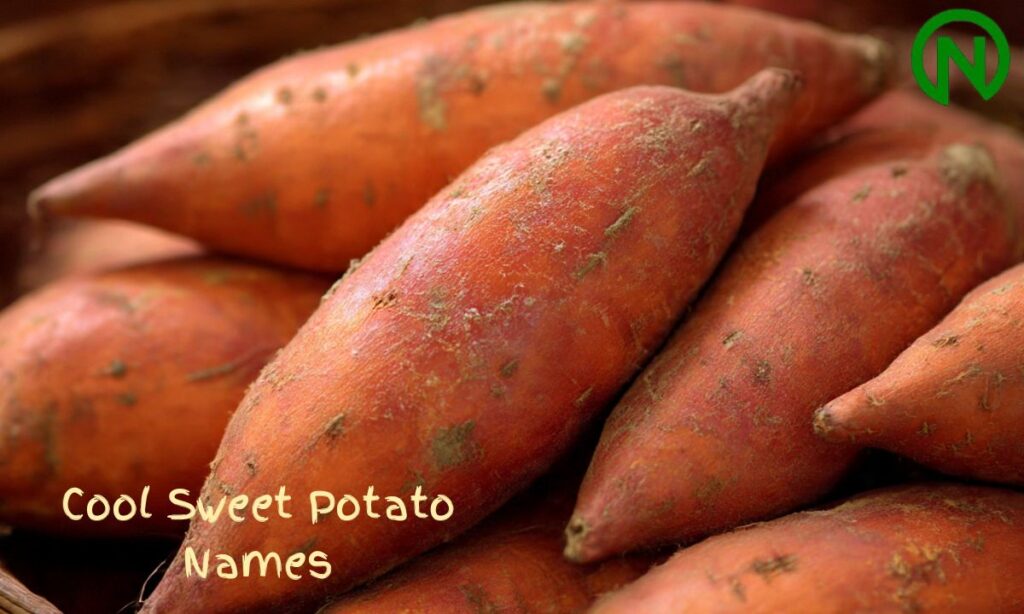 Cool Sweet Potato Names