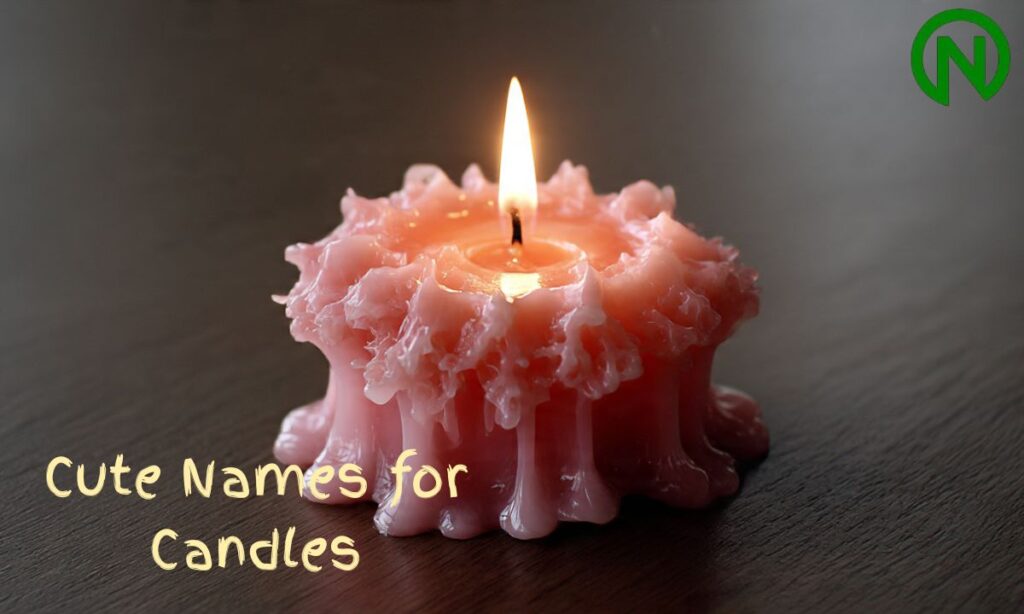 Cute Names for Candles