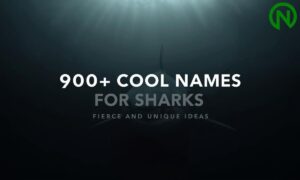 900+ Cool Names For Sharks: Fierce And Unique Ideas