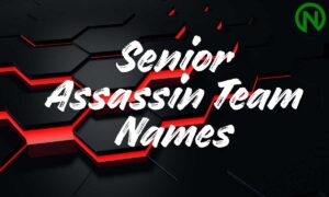 Senior Assassin Team Names