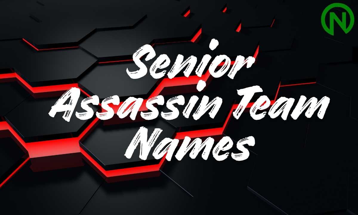 Senior Assassin Team Names