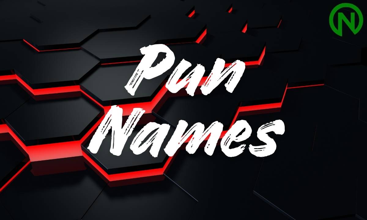 Pun Names