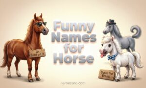 Funny Names for Horses