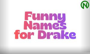 Funny Names for Drake