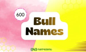 Bull Names