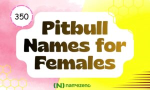 Pitbull Names for Females